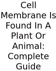 Cell Membrane Is Found In A Plant Or Animal: Complete Guide
