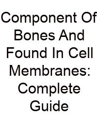 Component Of Bones And Found In Cell Membranes: Complete Guide