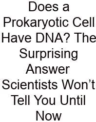 Does A Prokaryotic Cell Have DNA? The Surprising Answer Scientists Won’t Tell You Until Now