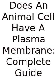 Does An Animal Cell Have A Plasma Membrane: Complete Guide