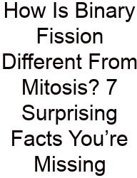 How Is Binary Fission Different From Mitosis? 7 Surprising Facts You’re Missing