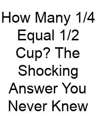 How Many 1/4 Equal 1/2 Cup? The Shocking Answer You Never Knew