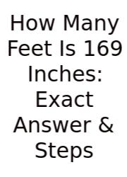 How Many Feet Is 169 Inches: Exact Answer & Steps