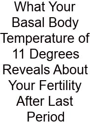 What Your Basal Body Temperature Of 11 Degrees Reveals About Your Fertility After Last Period