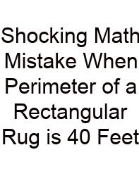 Shocking Math Mistake When Perimeter Of A Rectangular Rug Is 40 Feet