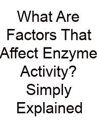 What Are Factors That Affect Enzyme Activity? Simply Explained