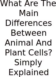 What Are The Main Differences Between Animal And Plant Cells? Simply Explained