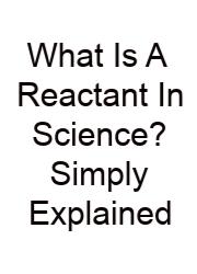 What Is A Reactant In Science? Simply Explained