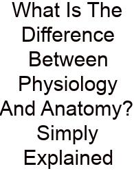 What Is The Difference Between Physiology And Anatomy? Simply Explained