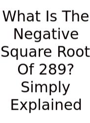 What Is The Negative Square Root Of 289? Simply Explained