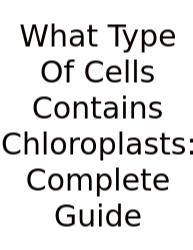 What Type Of Cells Contains Chloroplasts: Complete Guide