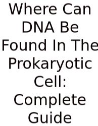 Where Can DNA Be Found In The Prokaryotic Cell: Complete Guide