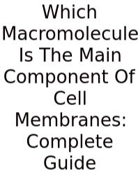 Which Macromolecule Is The Main Component Of Cell Membranes: Complete Guide