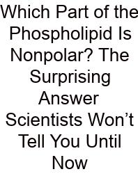Which Part Of The Phospholipid Is Nonpolar? The Surprising Answer Scientists Won’t Tell You Until Now