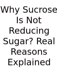 Why Sucrose Is Not Reducing Sugar? Real Reasons Explained
