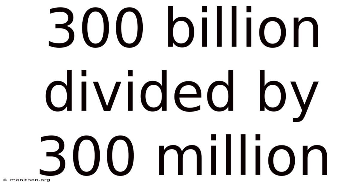 300 Billion Divided By 300 Million