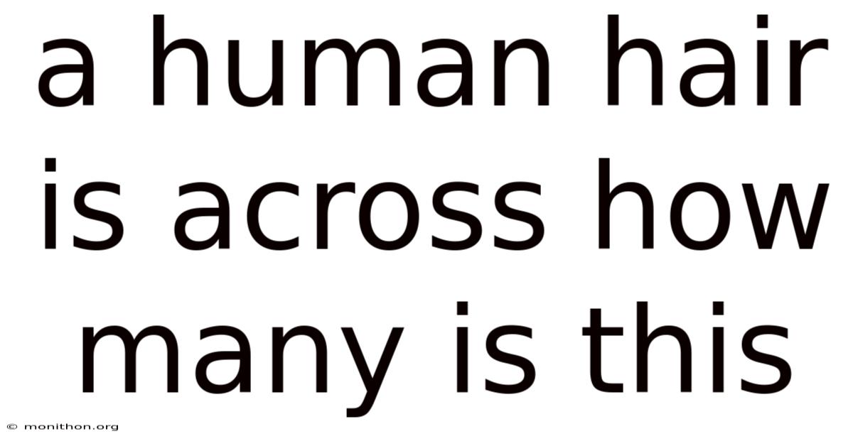 A Human Hair Is Across How Many Is This