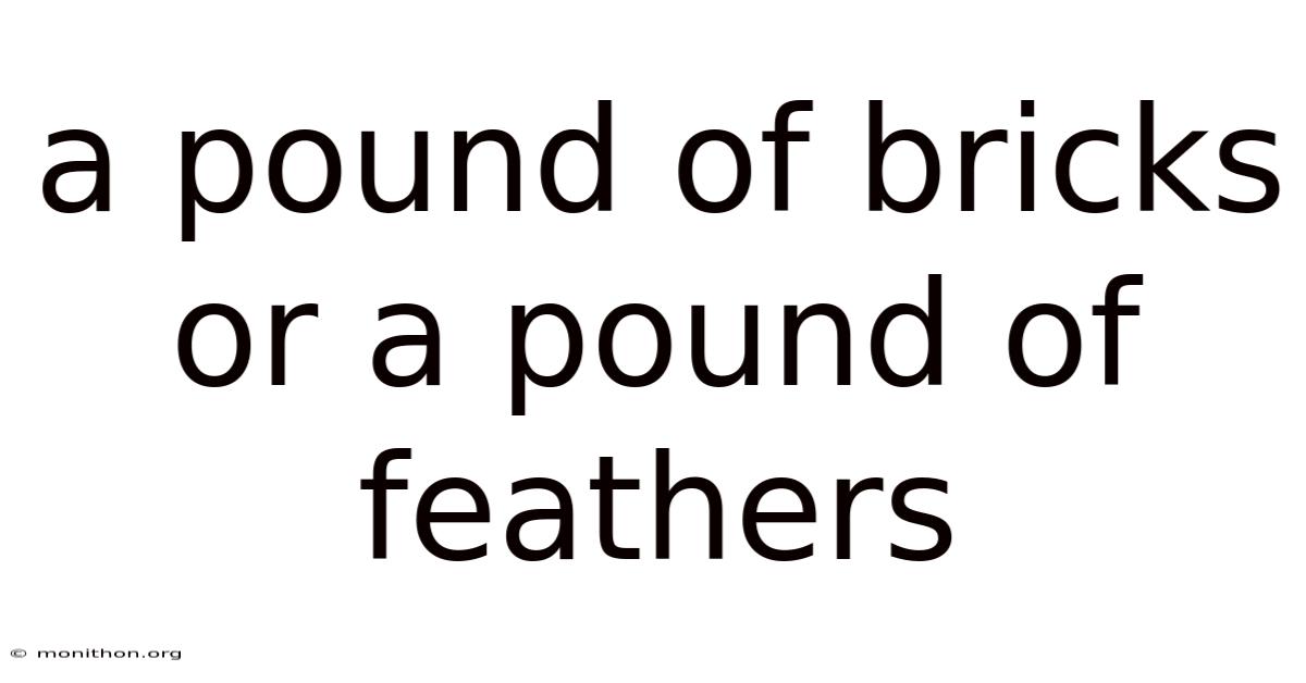 A Pound Of Bricks Or A Pound Of Feathers