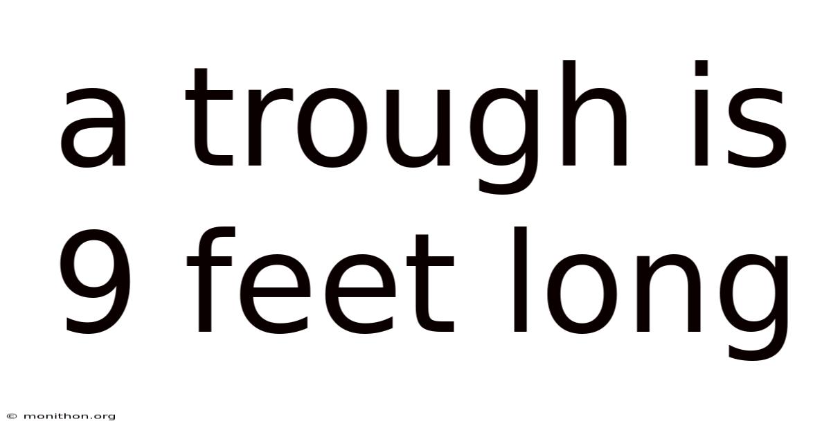 A Trough Is 9 Feet Long