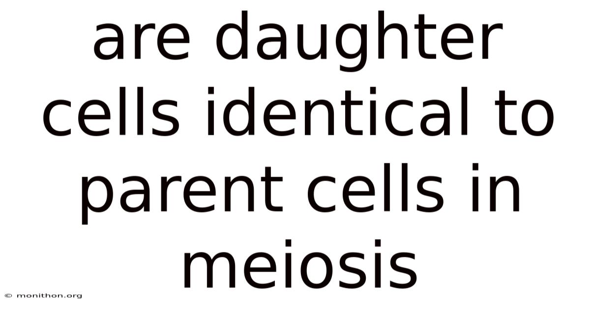 Are Daughter Cells Identical To Parent Cells In Meiosis