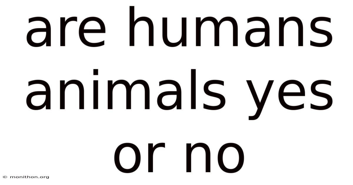 Are Humans Animals Yes Or No