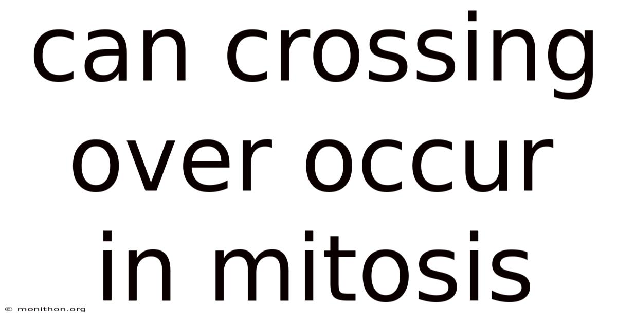 Can Crossing Over Occur In Mitosis