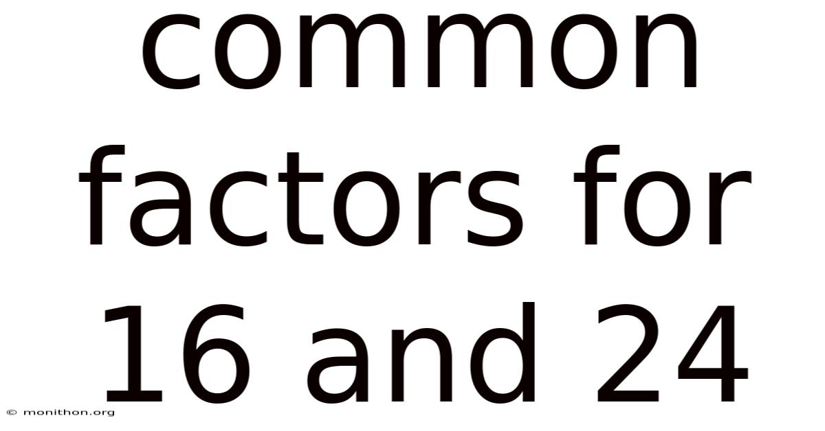 Common Factors For 16 And 24