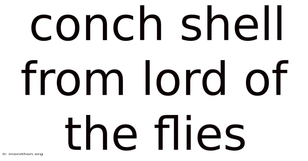Conch Shell From Lord Of The Flies
