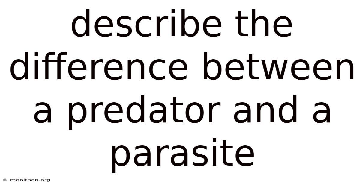 Describe The Difference Between A Predator And A Parasite