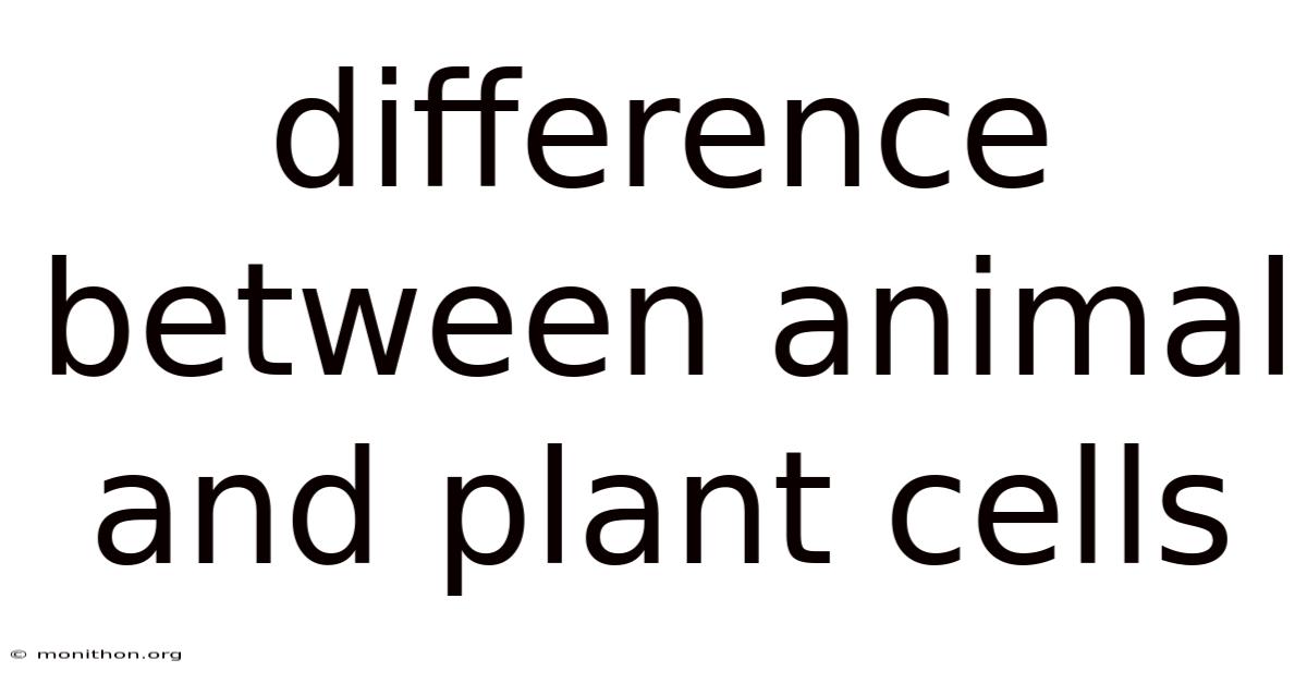 Difference Between Animal And Plant Cells