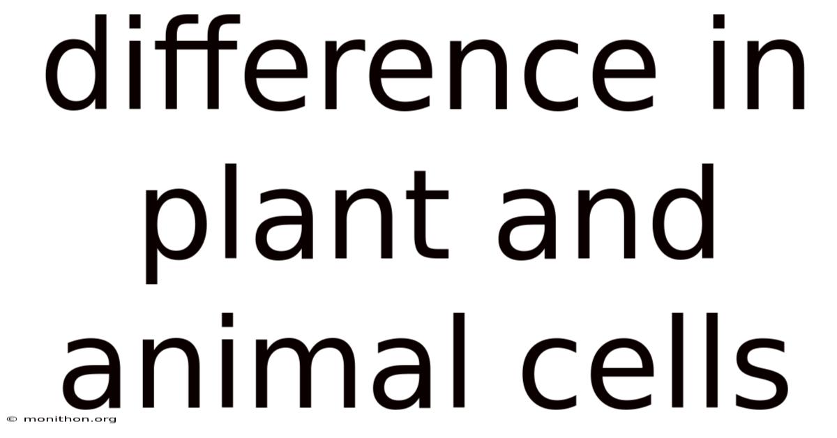 Difference In Plant And Animal Cells