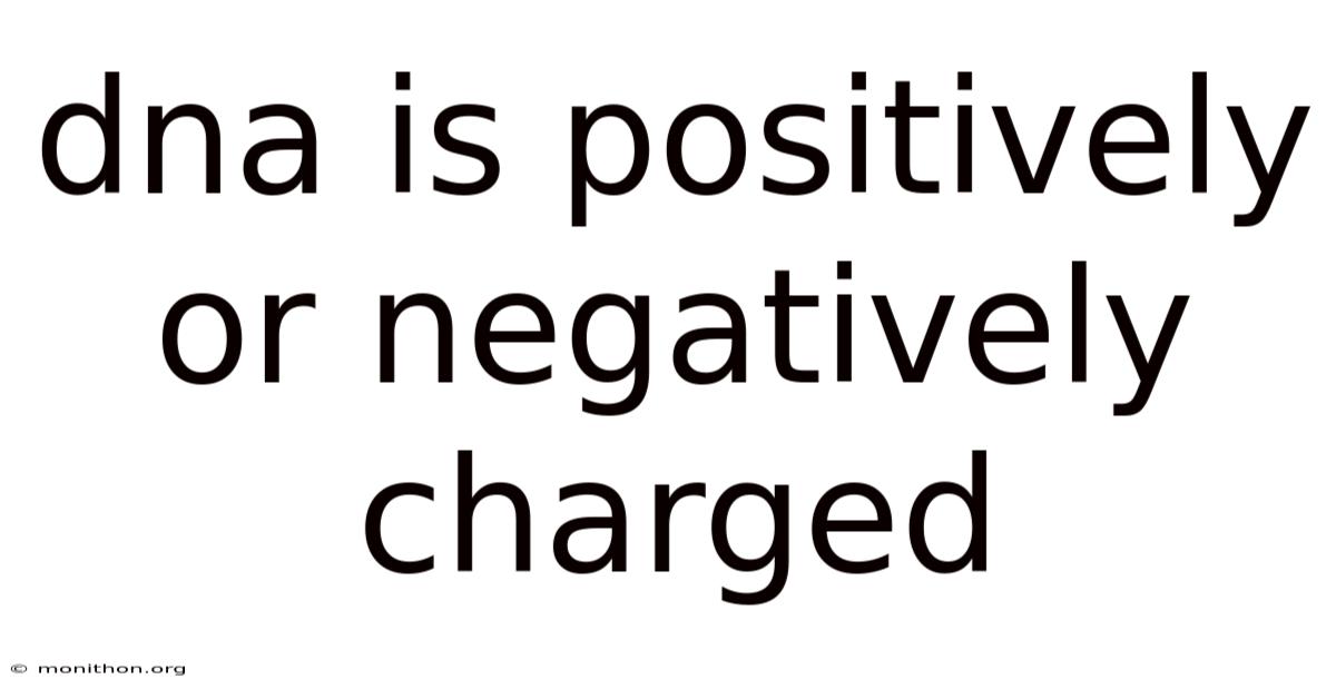Dna Is Positively Or Negatively Charged