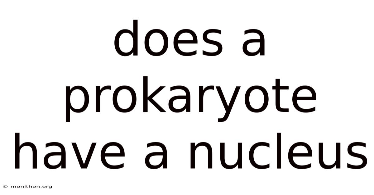 Does A Prokaryote Have A Nucleus