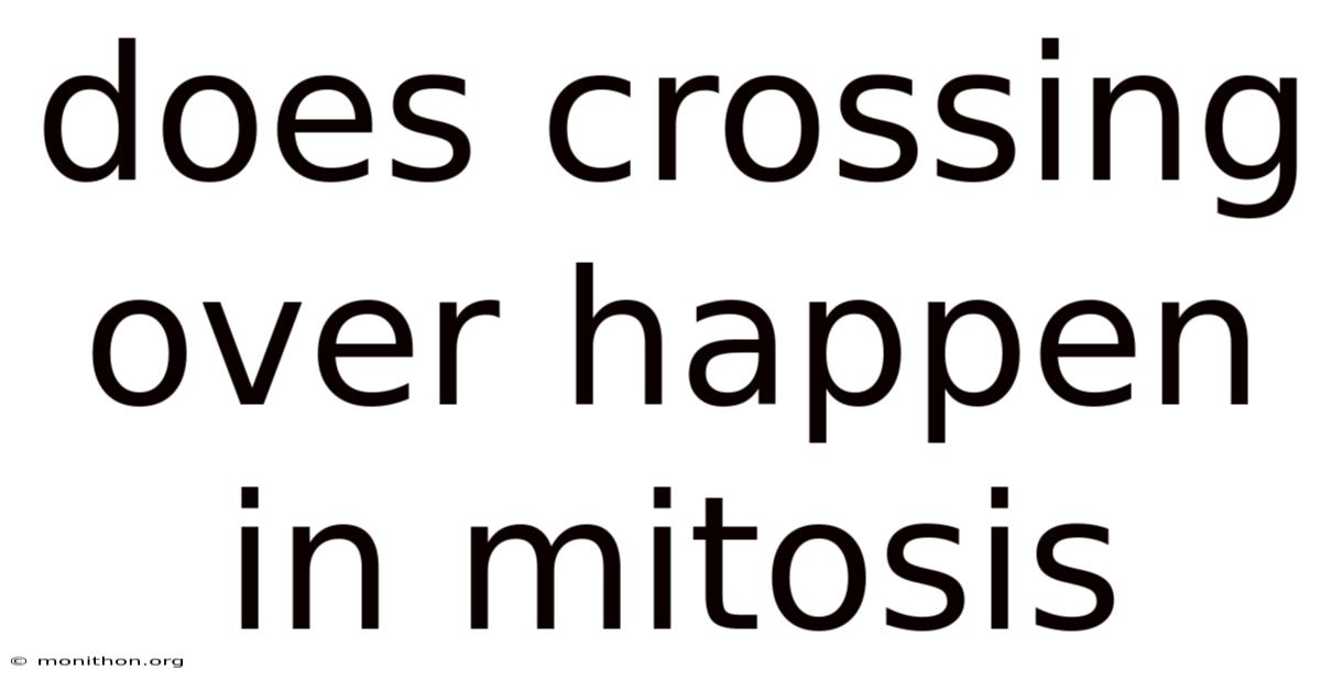 Does Crossing Over Happen In Mitosis