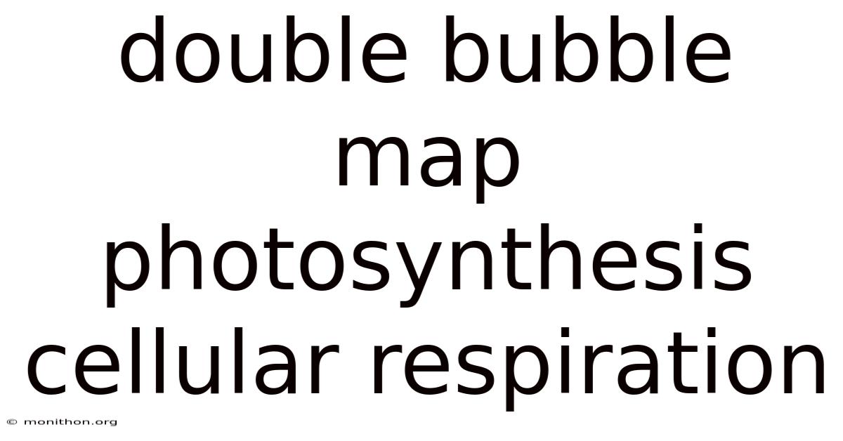 Double Bubble Map Photosynthesis Cellular Respiration