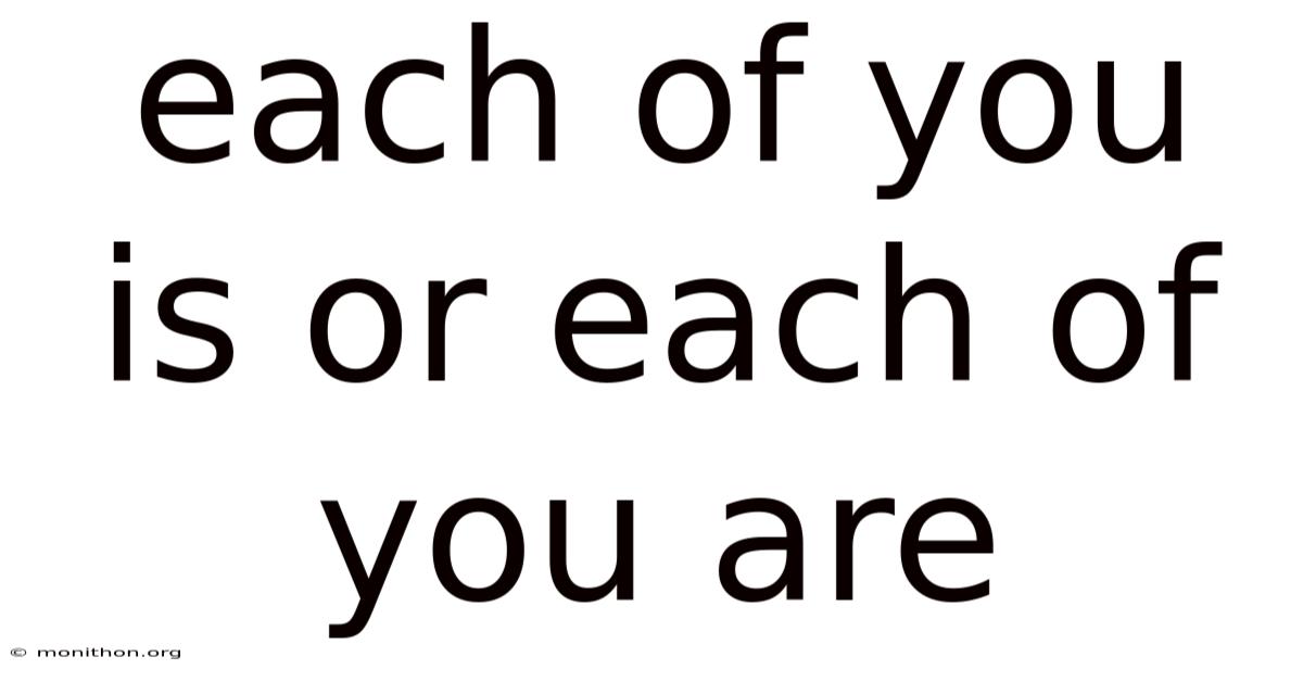 Each Of You Is Or Each Of You Are