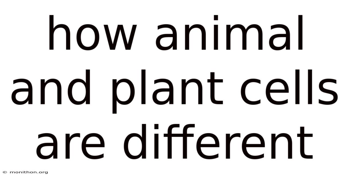 How Animal And Plant Cells Are Different