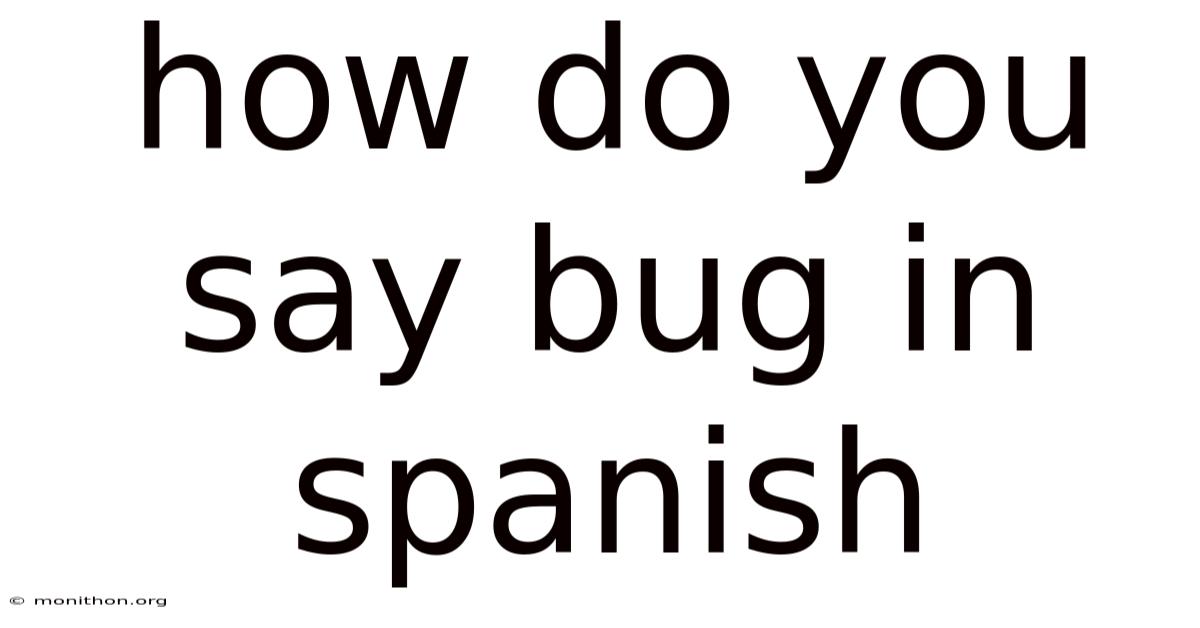 How Do You Say Bug In Spanish
