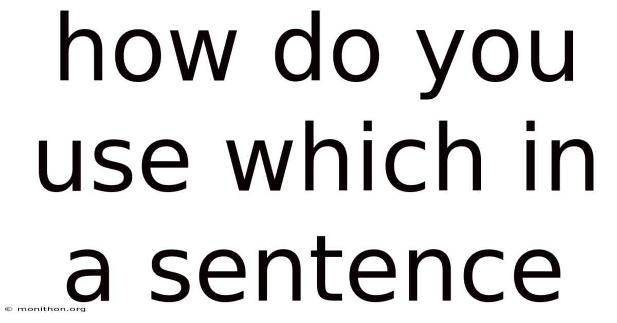 How Do You Use Which In A Sentence