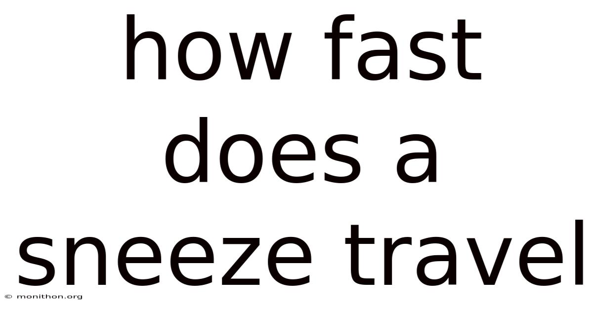 How Fast Does A Sneeze Travel