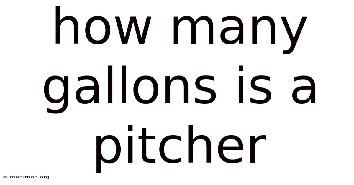 How Many Gallons Is A Pitcher