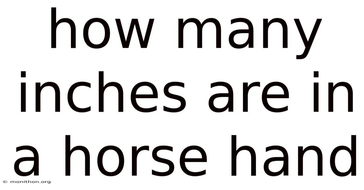 How Many Inches Are In A Horse Hand