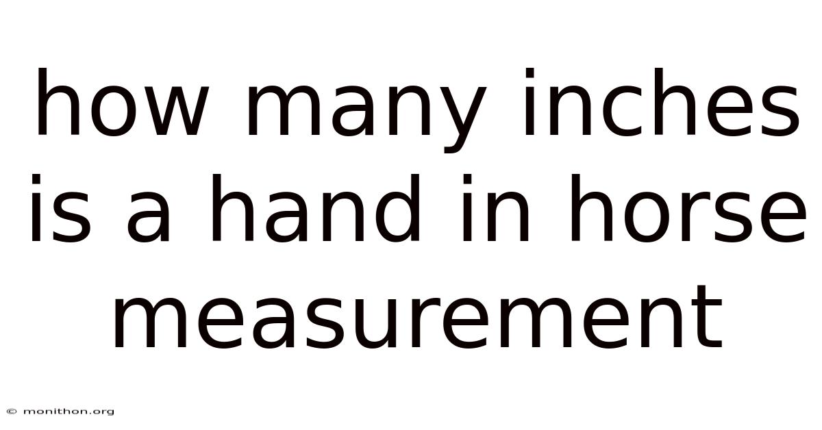 How Many Inches Is A Hand In Horse Measurement