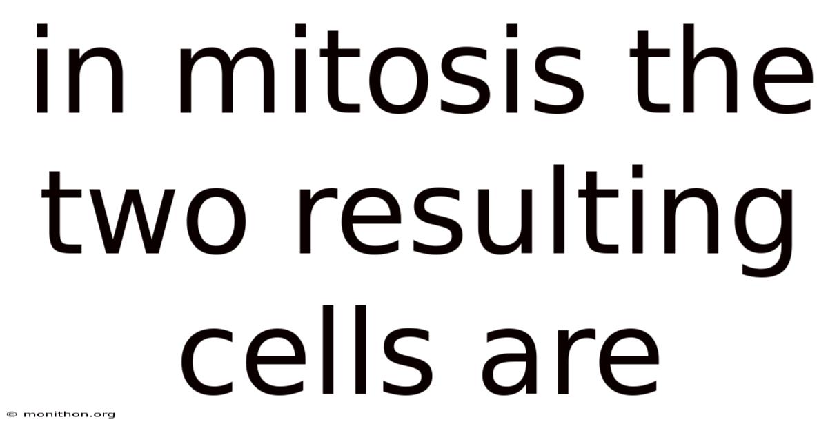 In Mitosis The Two Resulting Cells Are