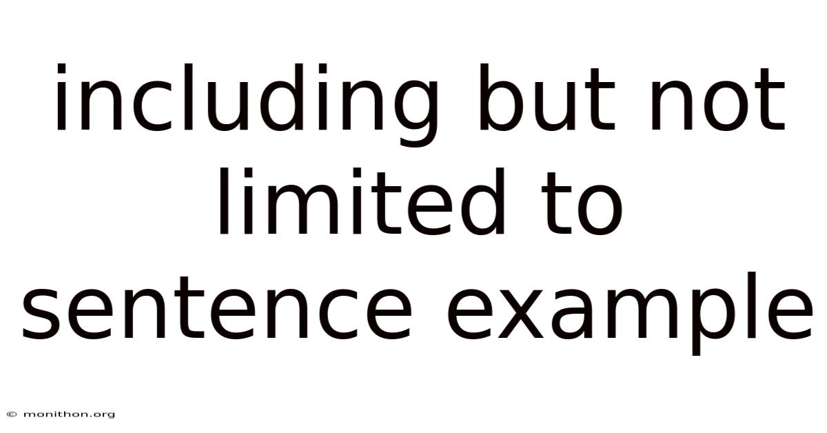 Including But Not Limited To Sentence Example