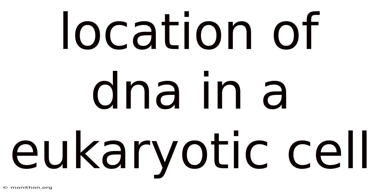 Location Of Dna In A Eukaryotic Cell