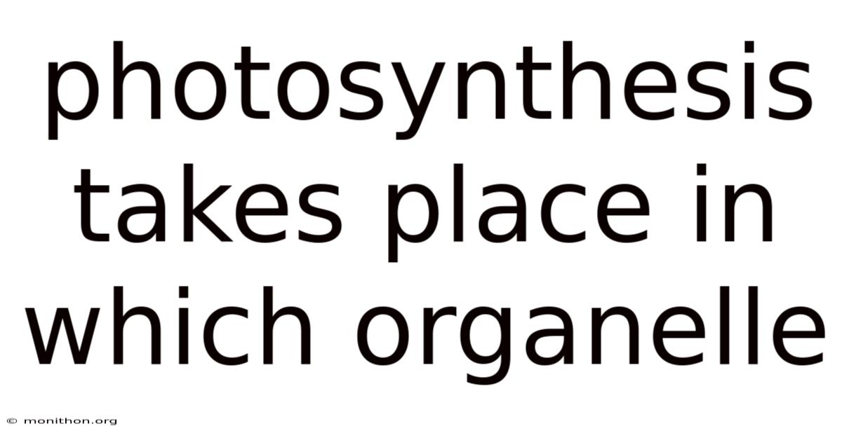 Photosynthesis Takes Place In Which Organelle