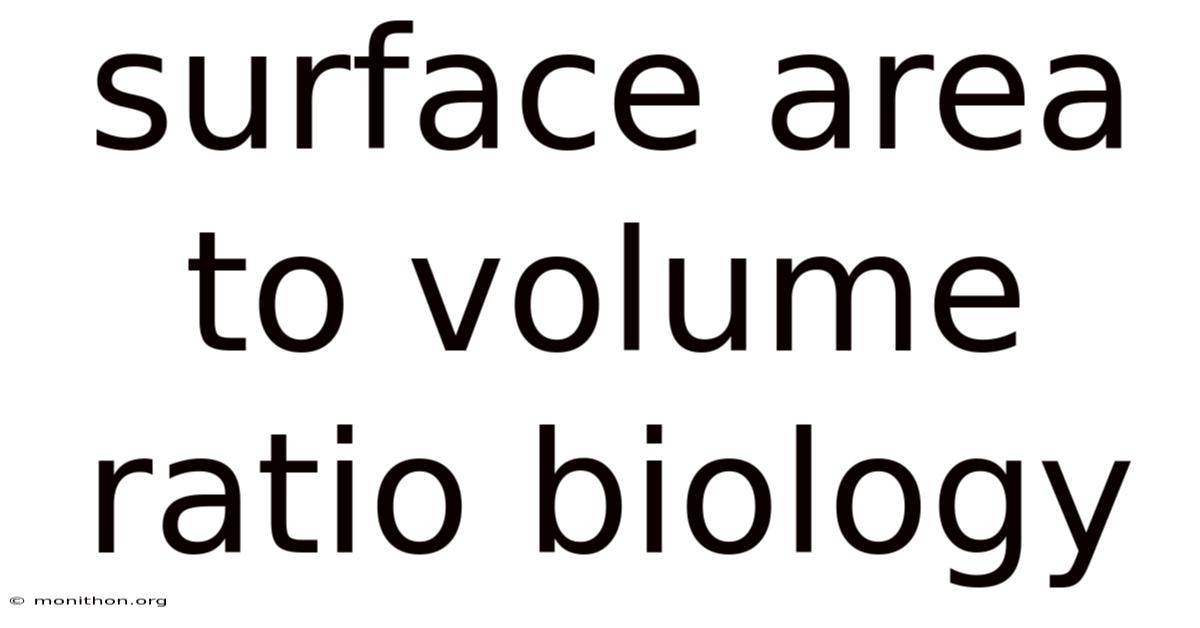 Surface Area To Volume Ratio Biology