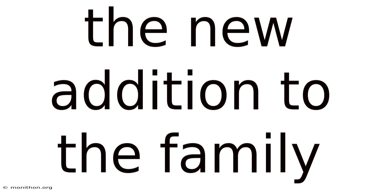 The New Addition To The Family