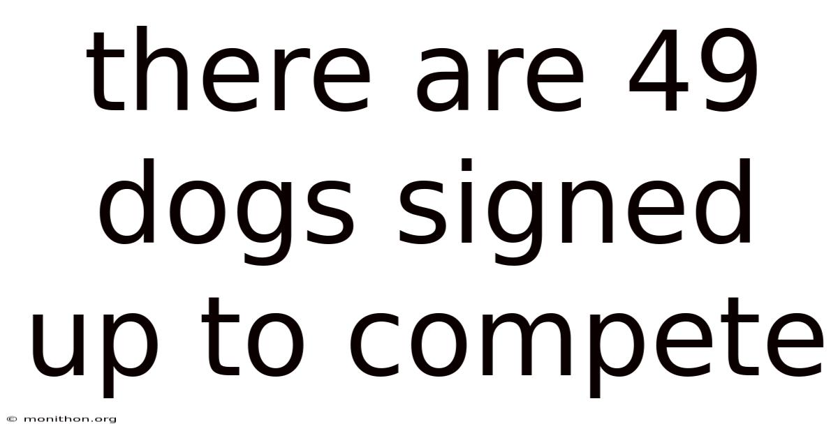 There Are 49 Dogs Signed Up To Compete